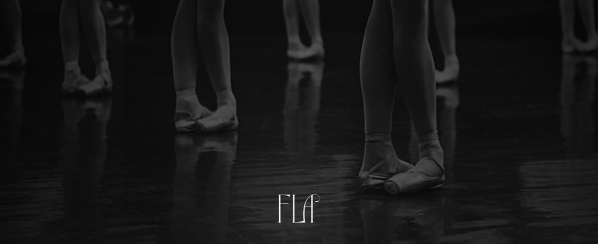 Eco-Packaging-Ballet-Wear